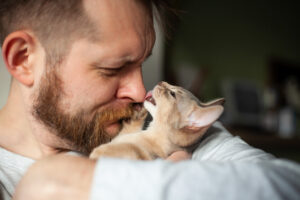 What It Means When a Cat Licks You in Broomfield, CO